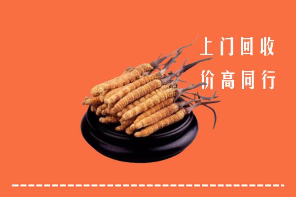 高价求购：烟台招远市回收散虫草