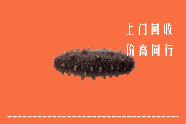 高价求购：烟台招远市回收海参